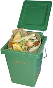 Kitchen waste