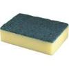 Sponge scourer / washing-up brush