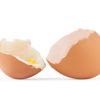 Egg shells