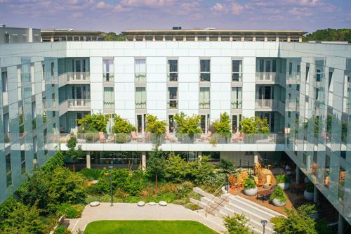 Turing Locke, Hotel Eddington, with thanks to Europlanters for the image