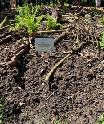 A flower bed. The buried wood and other compost enrich the bed, providing nutrients and moisture for plants. Dead wood serves as habitat for insects like stag beetles, crucial for their lifecycle.