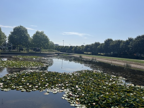 Pond at Cambourne Business Park